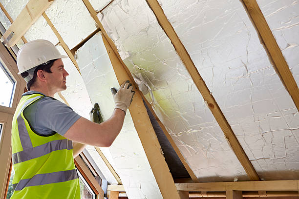 Best Eco-Friendly Insulation in Stowell, TX